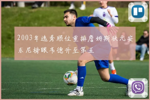 2003年选秀顺位重排詹姆斯状元安东尼榜眼韦德升至第五